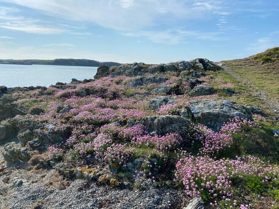 Entire Guest Suite In Four Mile Bridge, Rhoscolyn Valley Εξωτερικό φωτογραφία